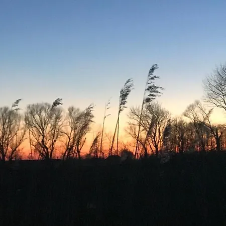 Feriendomizil Haus Margarete Mit Wallbox *